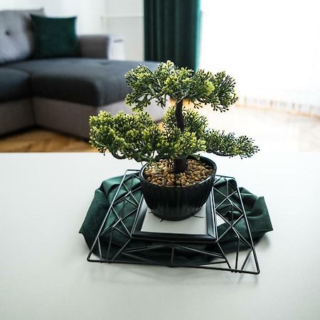 Tania Apartament オラデア エクステリア 写真